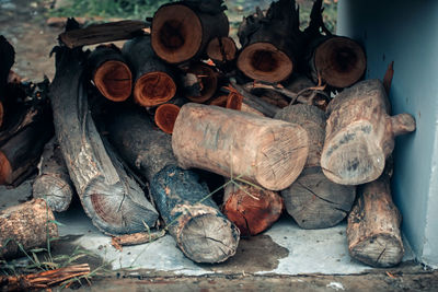 High angle view of firewood