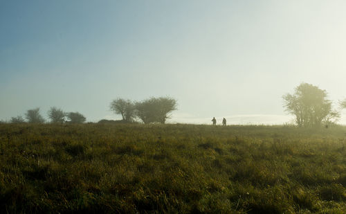 Scenic view of field against clear sky