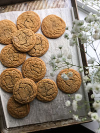 High angle view of cookies on table