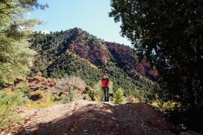 Rear view of man standing on mountain