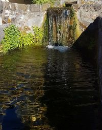 Scenic view of waterfall