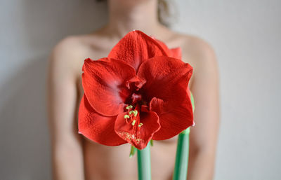 Close-up of flower against naked woman