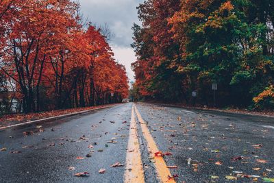 Road amidst leaves during autumn