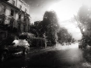 Wet road by trees against sky in city