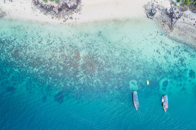 High angle view of man swimming in sea