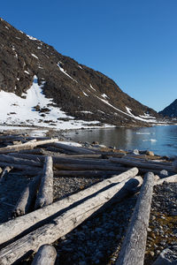 Timber and felled trees, probably from russia, washed up on the shores of the island of spitsbergen. 