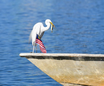 Bird perching on shore against sea