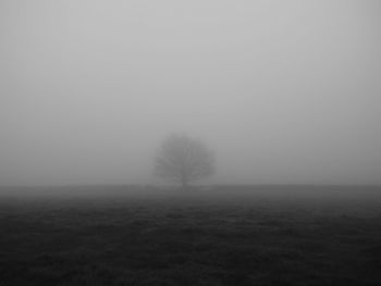 Scenic view of field against sky during foggy weather