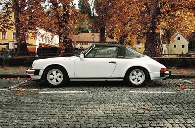 Car parked on street during autumn