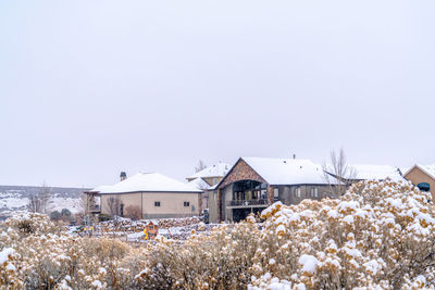 Plants and buildings against clear sky during winter