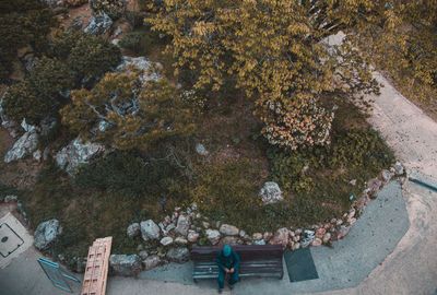 High angle view of people on rock by trees