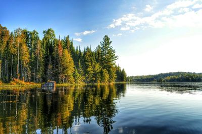 Scenic view of lake in forest against sky