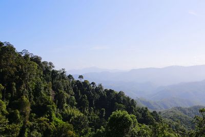 Scenic view of mountains against clear sky