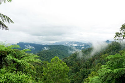 Scenic view of green landscape against sky