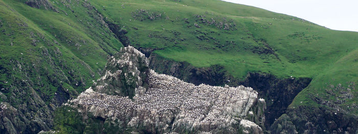 Panoramic view of land against sky