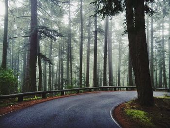 Road amidst trees in forest