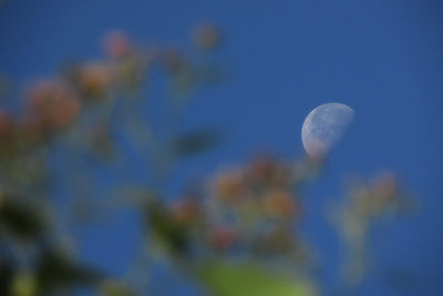 Close-up of moon against blue sky