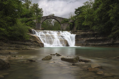 Scenic view of waterfall in forest