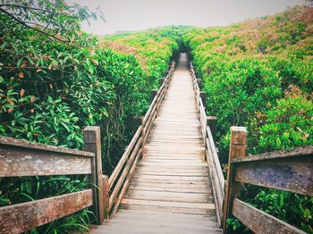 Footbridge amidst plants and trees against sky