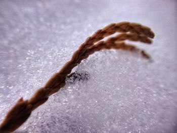 Close-up of hand splashing water against sky