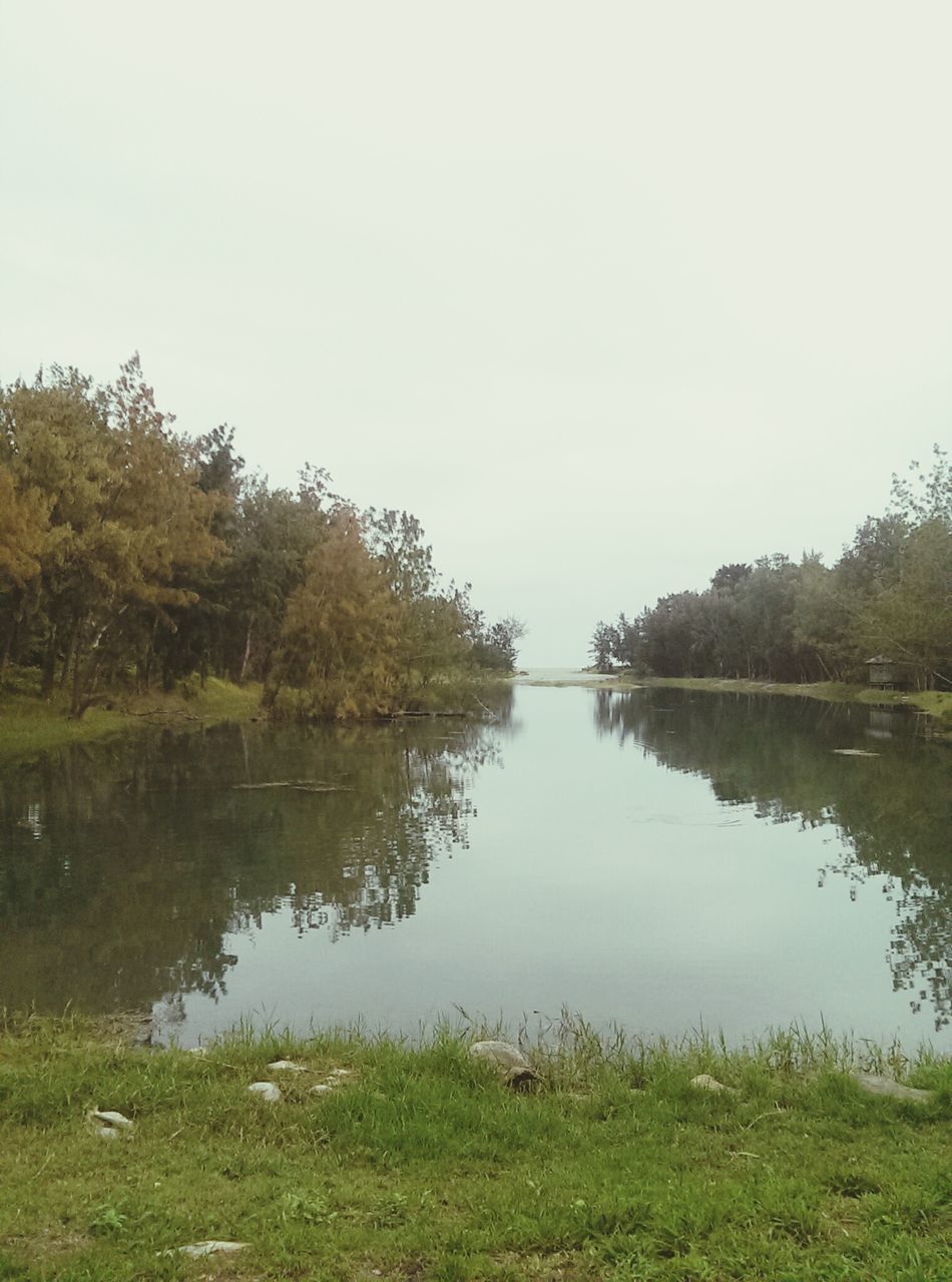 water, lake, reflection, tranquility, tranquil scene, clear sky, grass, tree, scenics, beauty in nature, nature, copy space, growth, green color, idyllic, lakeshore, sky, day, countryside, outdoors