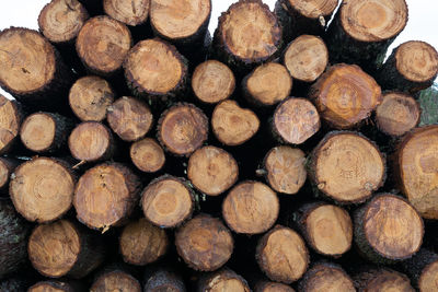 Close-up of a pile of wooden logs