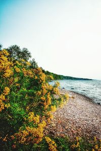Scenic view of calm sea against clear sky