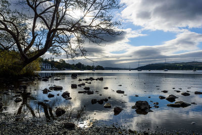 Bare trees by lake against cloudy sky