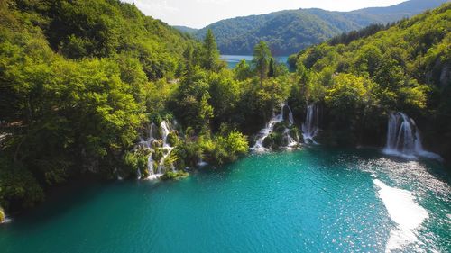 High angle view of river amidst trees