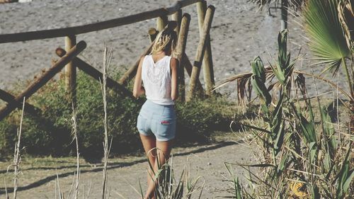 Rear view of girl standing on beach