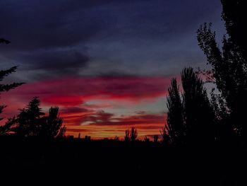 Silhouette trees against dramatic sky during sunset