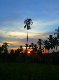 Silhouette palm trees on field against romantic sky at sunset