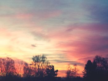 Low angle view of silhouette trees against dramatic sky