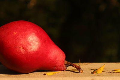 Close-up of red fruit