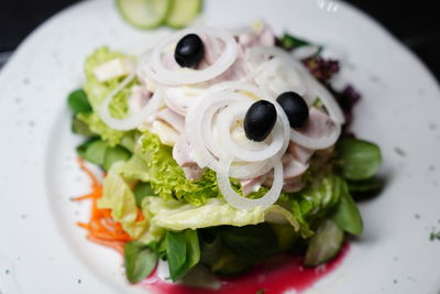 High angle view of salad served in plate