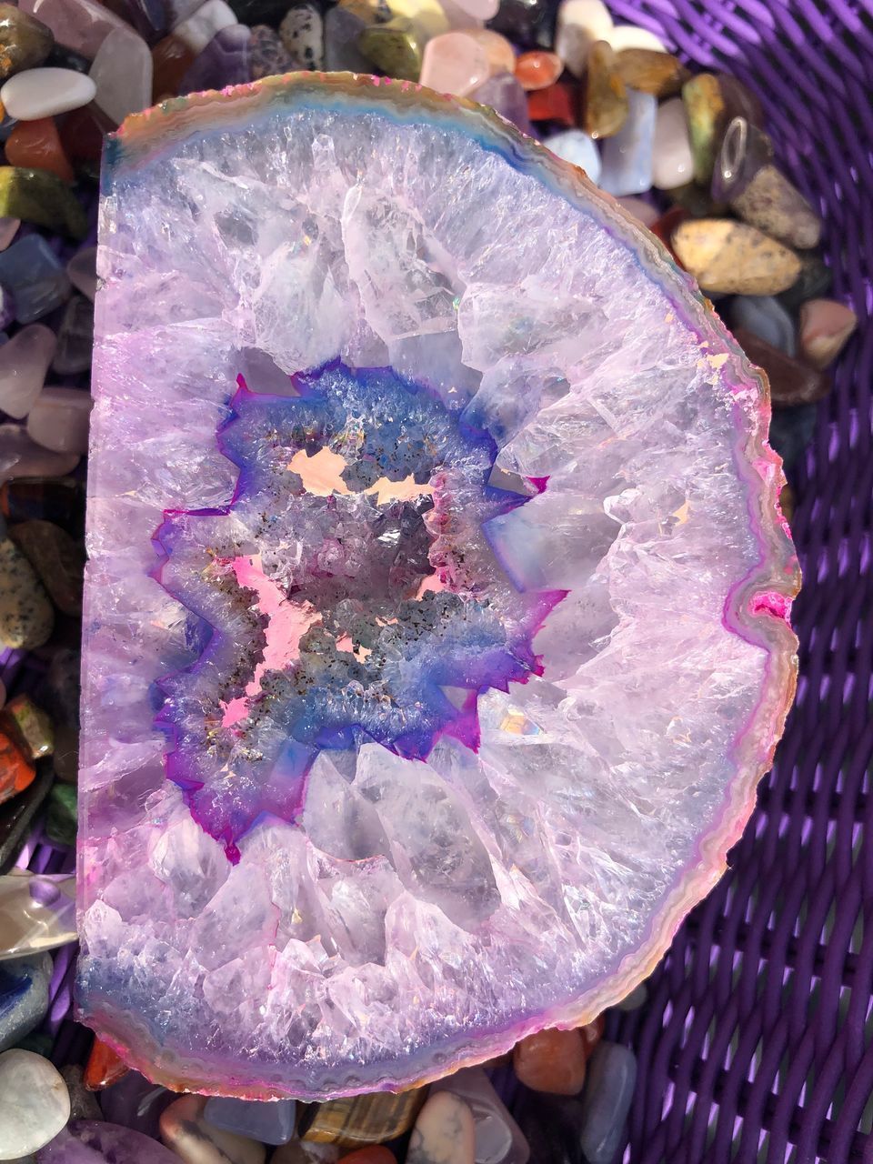 HIGH ANGLE VIEW OF MULTI COLORED FLOWER IN CONTAINER ON STONE