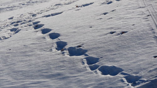 High angle view of footprints on snow covered land