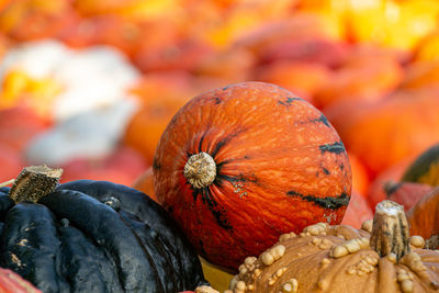 Close-up of pumpkin