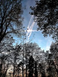 Low angle view of silhouette tree against sky