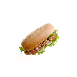 Close-up of sandwich against white background