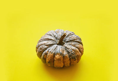 Close-up of pumpkin against yellow background