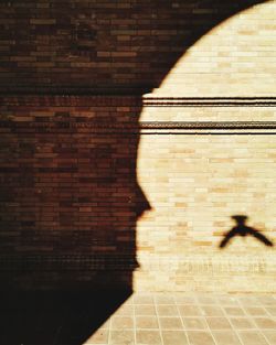 Shadow of man on brick wall