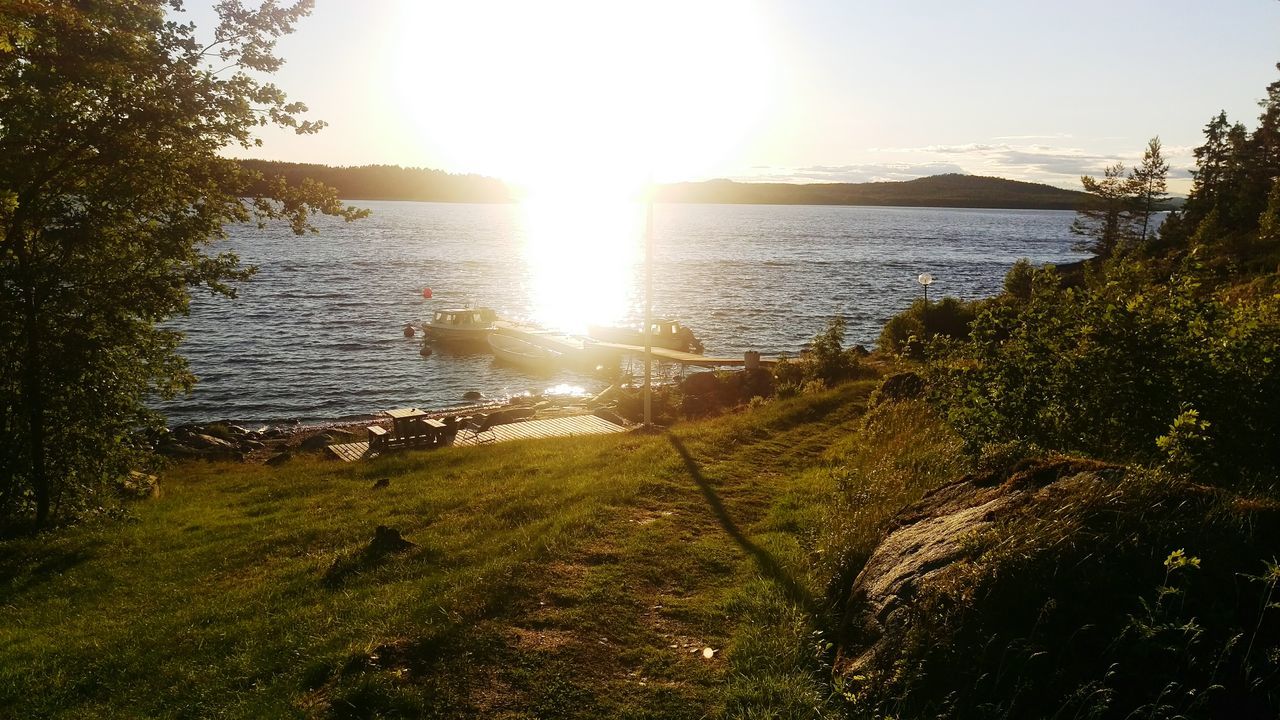 sun, water, sunlight, sunbeam, lens flare, tranquility, tranquil scene, tree, grass, scenics, sky, beauty in nature, nature, lake, reflection, sunny, river, growth, bright, idyllic