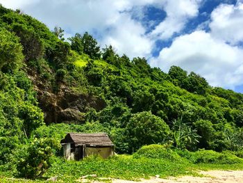 House amidst trees and plants against sky