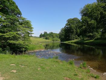 Scenic view of lake against clear blue sky