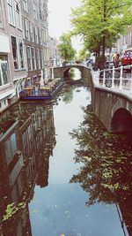 Reflection of trees on building in canal