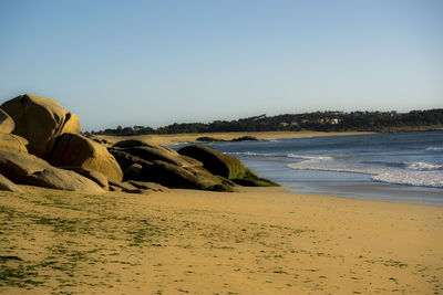 Scenic view of beach against clear sky