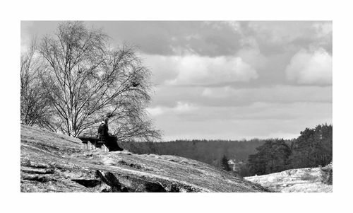 Bare trees on field against cloudy sky