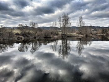 reflection