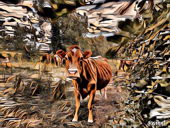 Horses standing outdoors